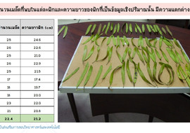 วีดิทัศน์: การแปลความหมายข้อมูลในชีววิทยา ตอนที่ 2 ... พารามิเตอร์รูปภาพ 1